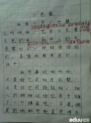 寫倉鼠的作文500字