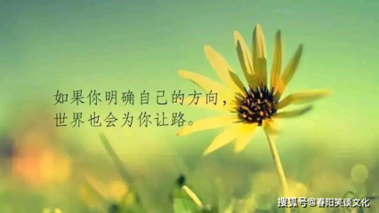 努力終有回報的句子