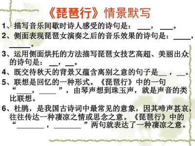 描寫琵琶的優(yōu)美句子