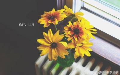 送給沒口德的人的句子