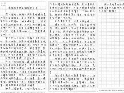 以年為主題的作文