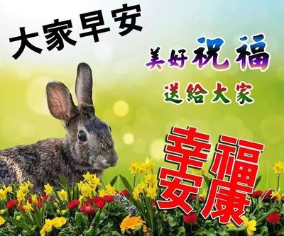 曬太陽表達心情的句子