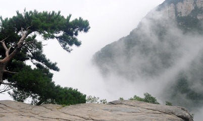 描寫山的一段話