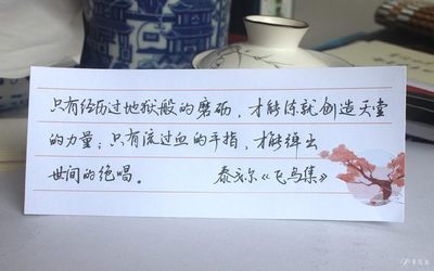 男人窩囊的句子