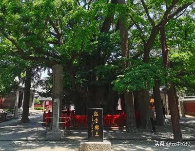 游浮來山作文