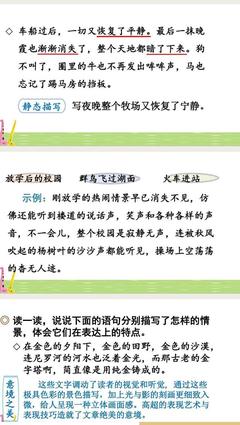 描寫景物的順序有哪些