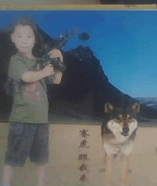 那張照片里的故事