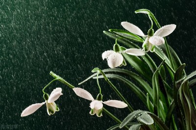 雨的描寫唯美句子