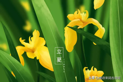 描寫夏夜的古詩