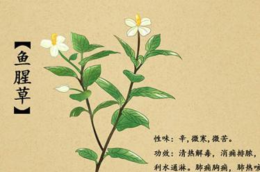描寫夏夜的古詩