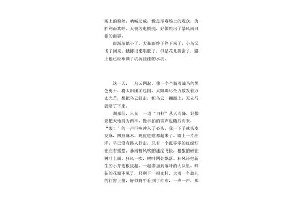狂風(fēng)暴雨的作文