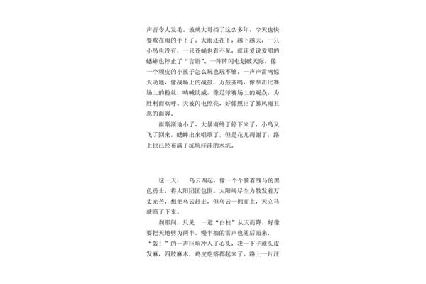 狂風(fēng)暴雨的作文