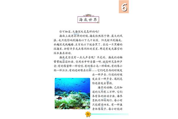 美麗的海洋世界作文