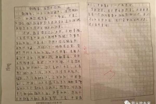 老師我想對(duì)你說(shuō)作文400字